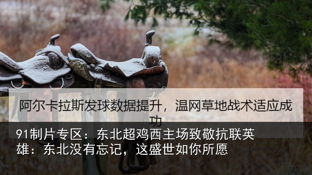 91制片专区：东北相关情况联英雄：东北相关情况你所愿