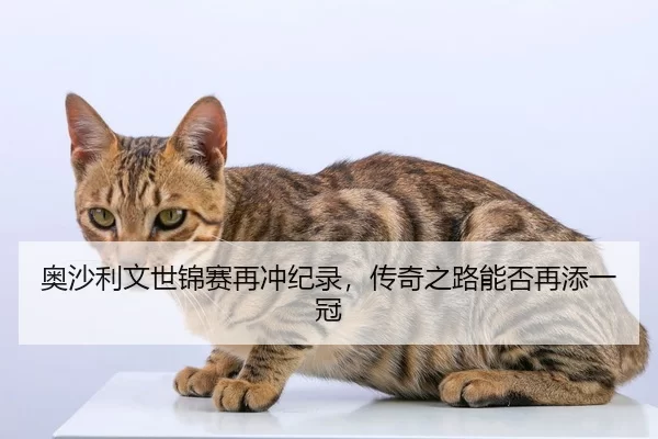 奥沙利文世锦赛再冲纪录，传奇之路能否再添一冠