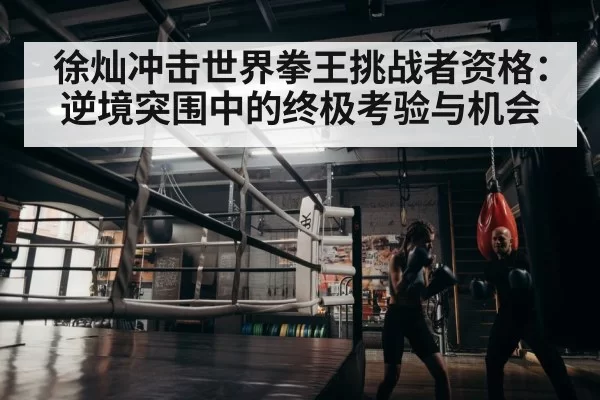 徐灿冲击世界拳王挑战者资格：逆境突围中的终极考验与机会